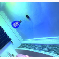 O’ Palace Furnished Apartment and Suite