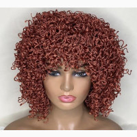 360 Frontal Braided Wig