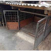 Dog Cage With Slate Roofing and Plastic Floor