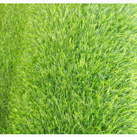 Synthetic Grass - Keep Your Surroundings Clean and Beautiful