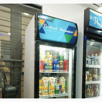 VERTICAL SHOWCASE/Commercial Upright Chiller (1 Door Fridge)