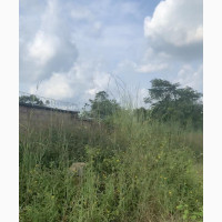 120 Plots of Land at Ugwuomu