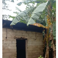 Its An Old House