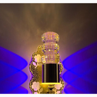 Luxury LED Wall Bracket Light - Bright and Stylish
