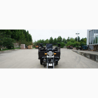 Skygo 2023 Brown Tricycle - Brand New
