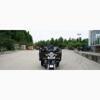 Skygo 2023 Brown Tricycle - Brand New