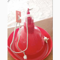Red Bell Drinkers - Perfect for Poultry