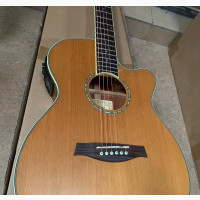 Ibanez Electro Acoustic Guitar With Fishman EQ