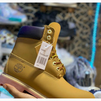 Timberland Shoe for Men