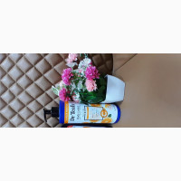 Dr Teals Lotion and Bath Products