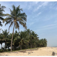 Beach Front Lands for Sale After Freetrade Zone, Ibeju-Lekki