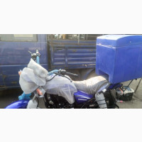 Pick Up and Delivery Book and Hire a Rider for a Whole Day