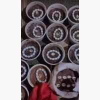 The best professional spiritual herbalist in nigeria