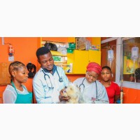 Veterinary Clinic Pet Shop
