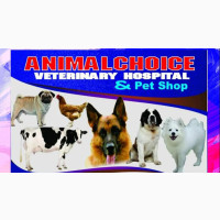 Veterinary Services for Your Pets