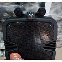Professional Audio Wireless Bluetooth 15inche Party Speaker