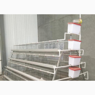 160 Layers Battery Cage on 4 Tires