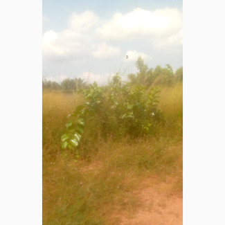 30 Plots of Land in Prime Location