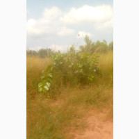 30 Plots of Land in Prime Location