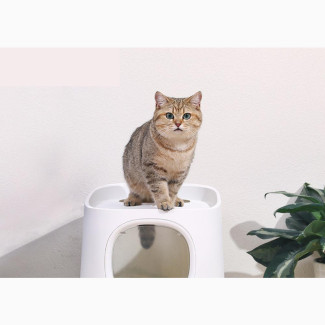 Kivpet APP Control Smart Best Automatic Litter Box for Multi