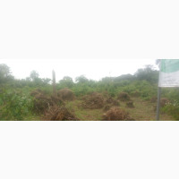 Very Good Plot of Land for YOU