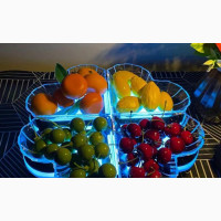Led Tray Pan