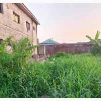 Full Plot With Cofo at Fortune Garden Ogudu