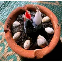 The best one and only spiritual herbalist and native doctor in Nigeria