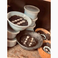 The best one and only spiritual herbalist and native doctor in Nigeria