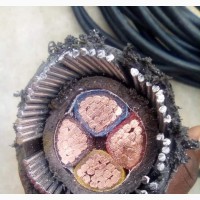 Quality Up Riser Armored Copper Cable for Sale
