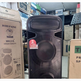 World King Rechargeable Public Address System