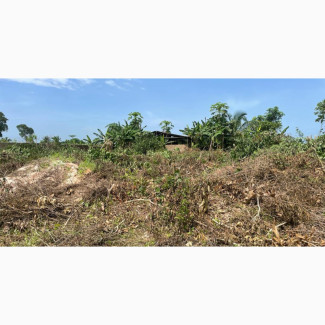 Plots of Land in Fast Developing Area