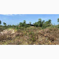 Plots of Land in Fast Developing Area