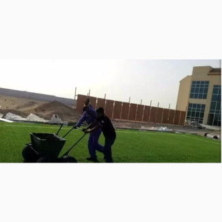 Carpet Grass In Nigeria