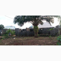 Half Plot of Land With Apartment Up to Lintel Level