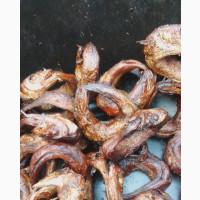 Panla (Ejakika)