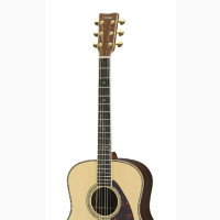 Yamaha Acoustic Guitar for Sale - Brand New