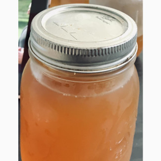 Kombucha Kargasok Tea