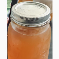 Kombucha Kargasok Tea