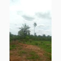 Cheap Plots of Land in Rapidly Developing Area of Owerri
