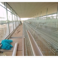 Battery Cage