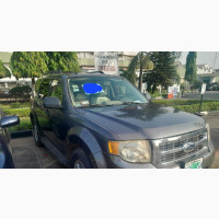 Ford Escape Limited 2010 Gray