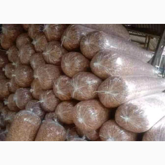 Fresh Crayfish Seafood for Sale
