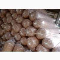 Fresh Crayfish Seafood for Sale