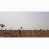 5000 Acres of Land for Lease at Ofiki Town With Farmhouses