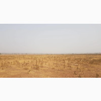5000 Acres of Land for Lease at Ofiki Town With Farmhouses