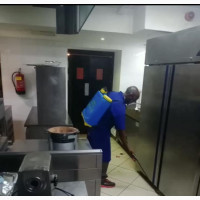 Whatever the Cleaning, Pest Control, Sofa Cleaning Etc