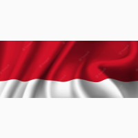 Indonesia Visa Application Services