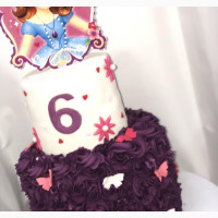 Sofia the First Cartoon Birthday Cake for 6-Year-Old Girls