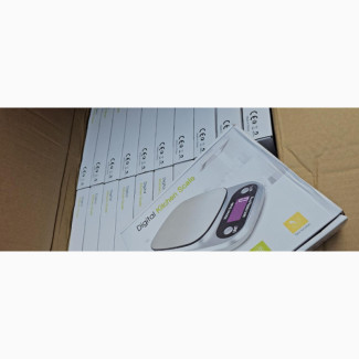 Stainless Electronic Scale